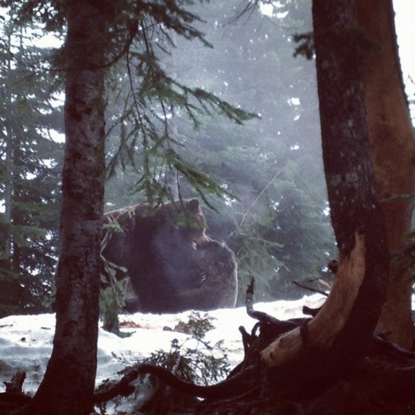 Photo Credit: Marieke L. van der Velden