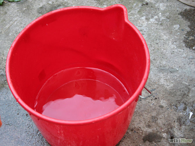 bucket