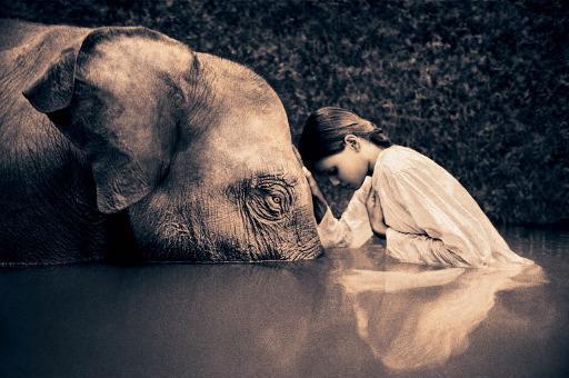 compassion_2
